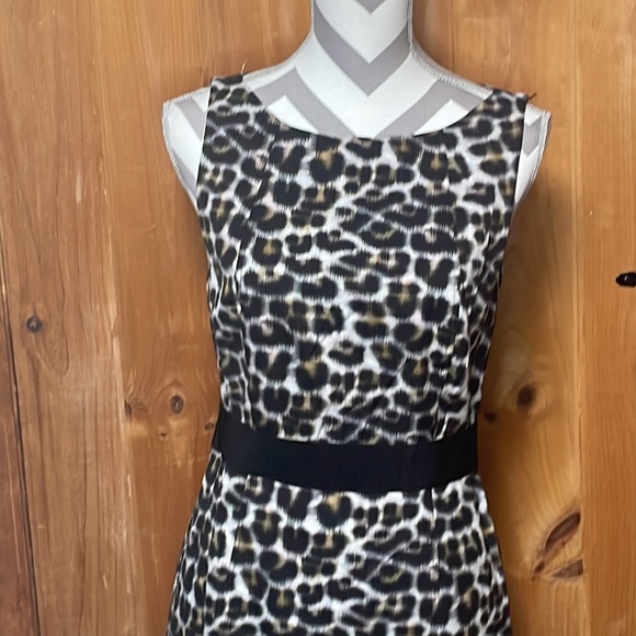 Ann Taylor leopard print dress size 6 - Picture 2 of 5